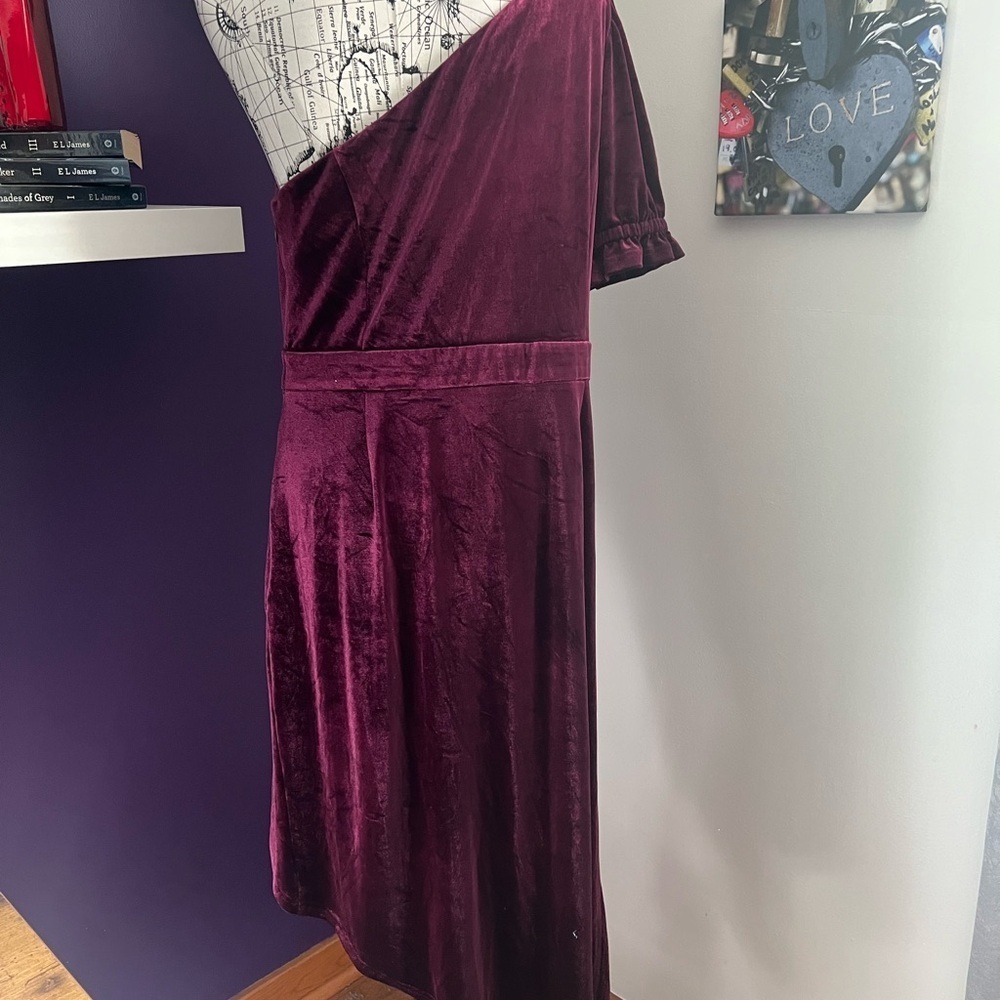 Inspr by Brittany Xavier One Shoulder Asymmetrical Velvety Dress - Picture 9 of 10